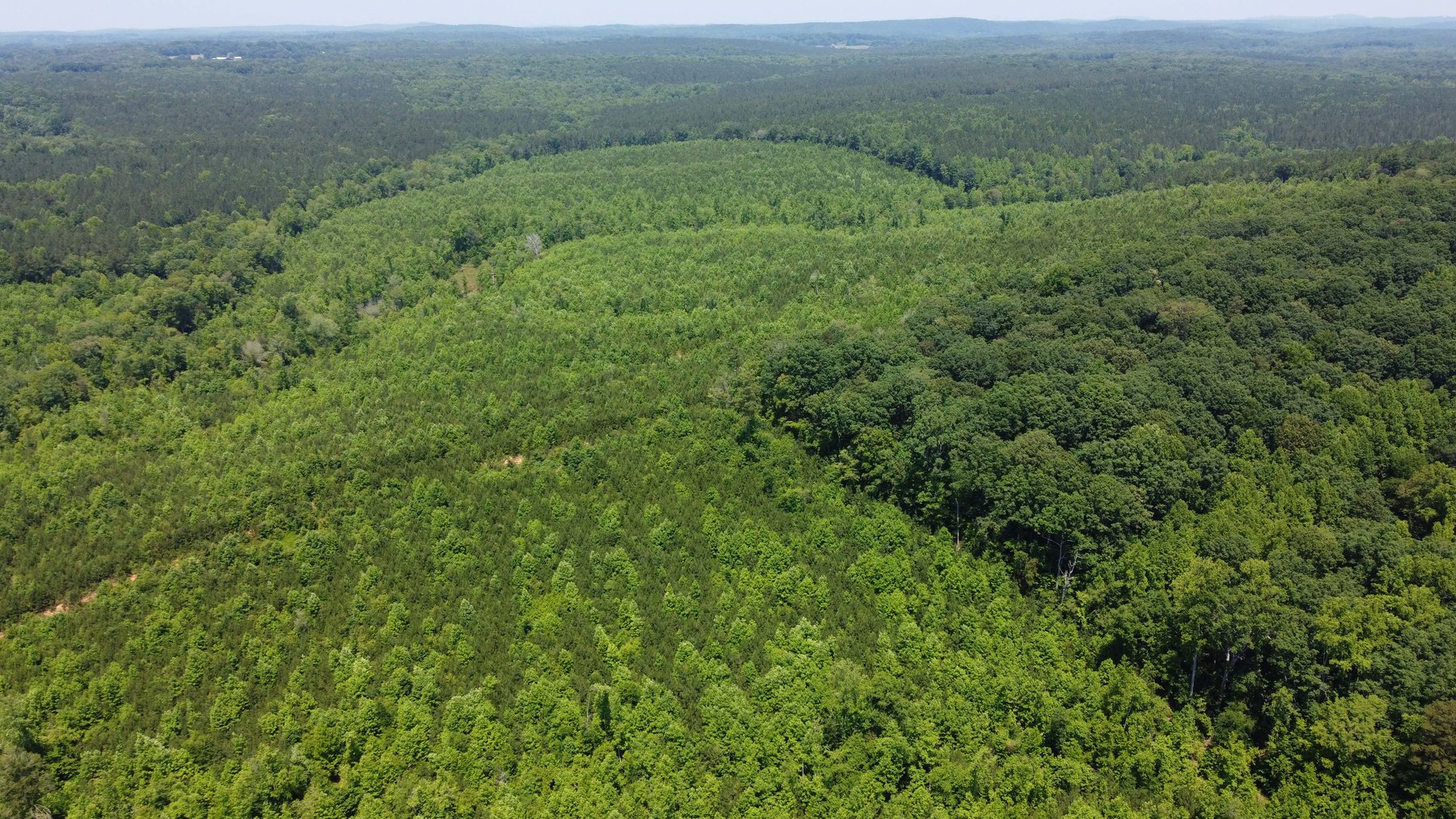 Image for 436 acres in Randolph County Divided into multiple tracts w/a portion selling absolute! This is an online / live / simulcast event!