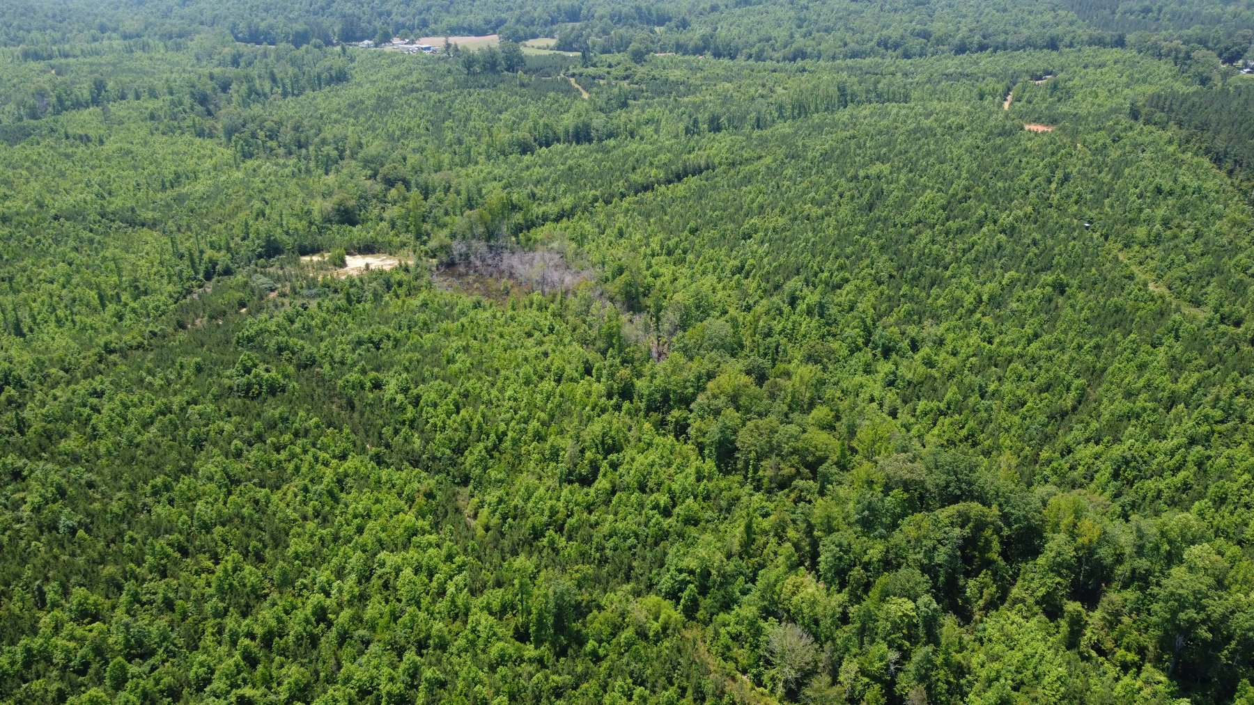Image for 436 acres in Randolph County Divided into multiple tracts w/a portion selling absolute! This is an online / live / simulcast event!