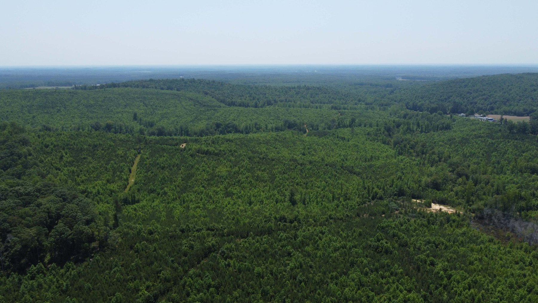 Image for 436 acres in Randolph County Divided into multiple tracts w/a portion selling absolute! This is an online / live / simulcast event!
