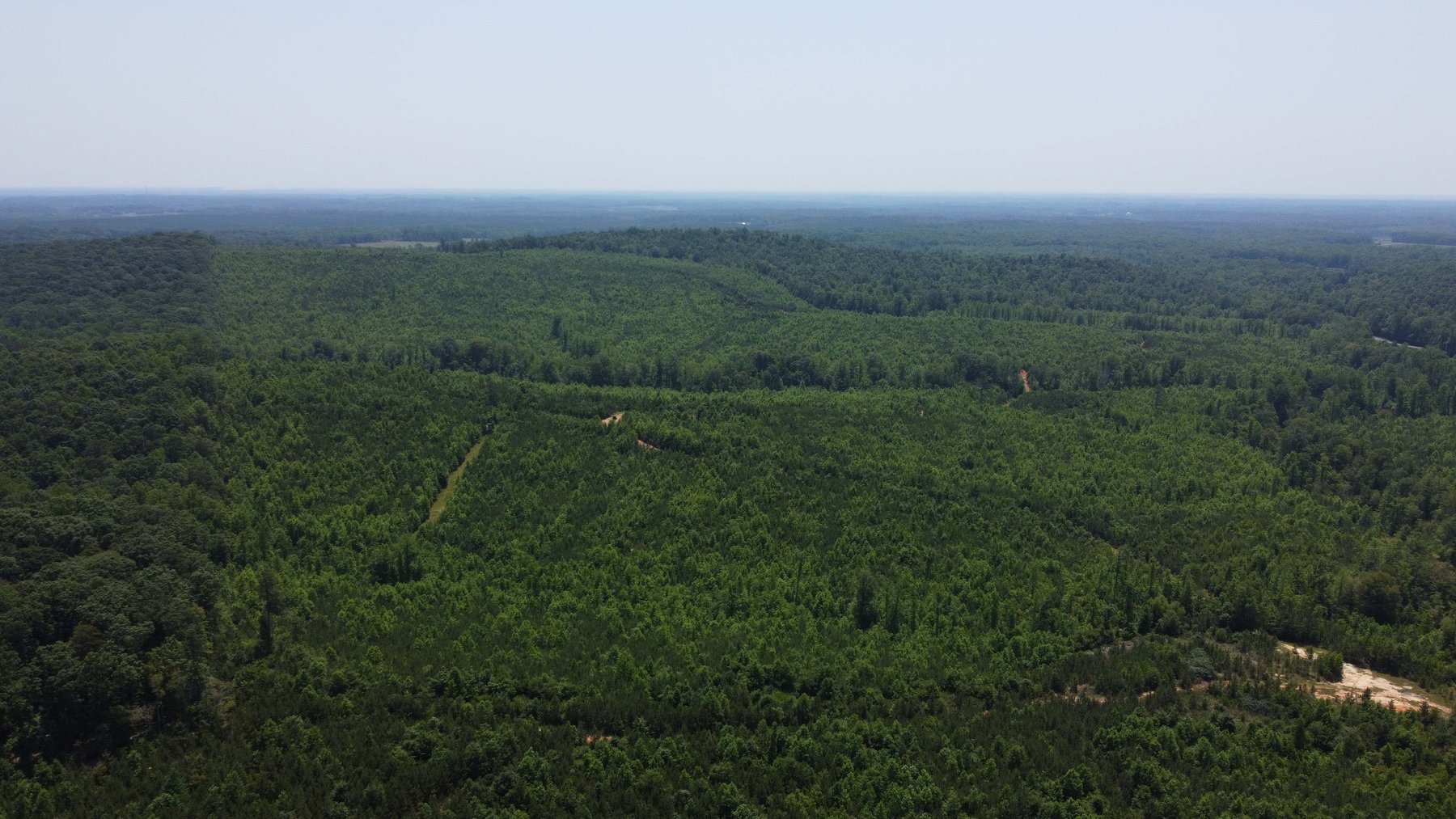 Image for 436 acres in Randolph County Divided into multiple tracts w/a portion selling absolute! This is an online / live / simulcast event!