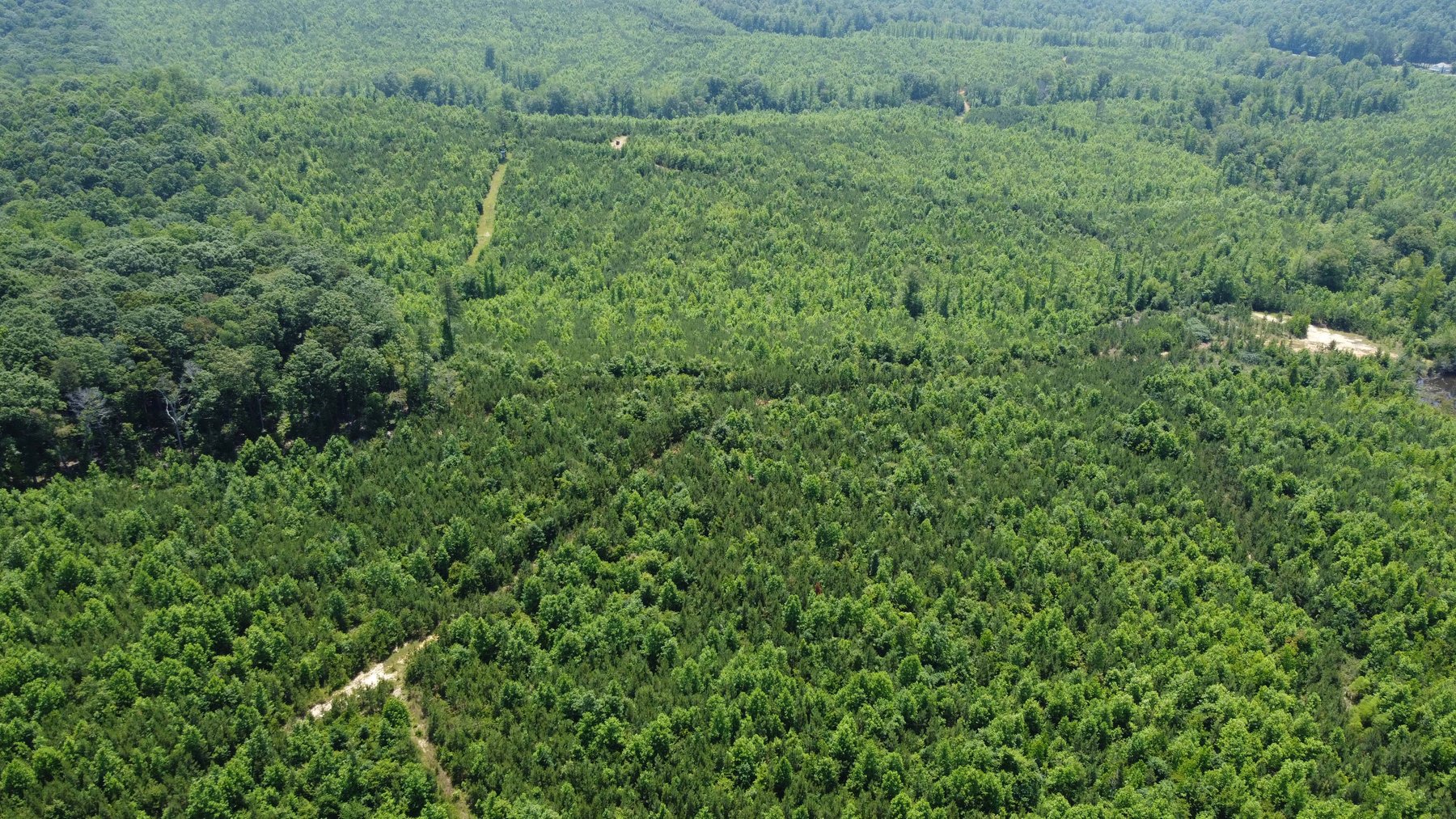 Image for 436 acres in Randolph County Divided into multiple tracts w/a portion selling absolute! This is an online / live / simulcast event!