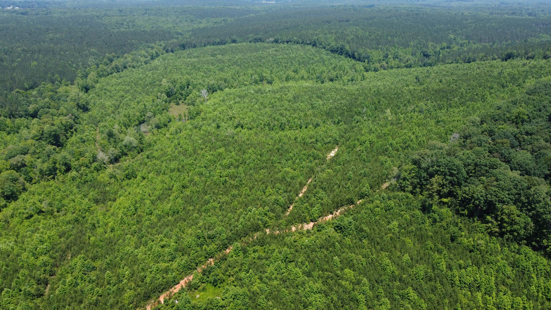 Image for 436 acres in Randolph County Divided into multiple tracts w/a portion selling absolute! This is an online / live / simulcast event!