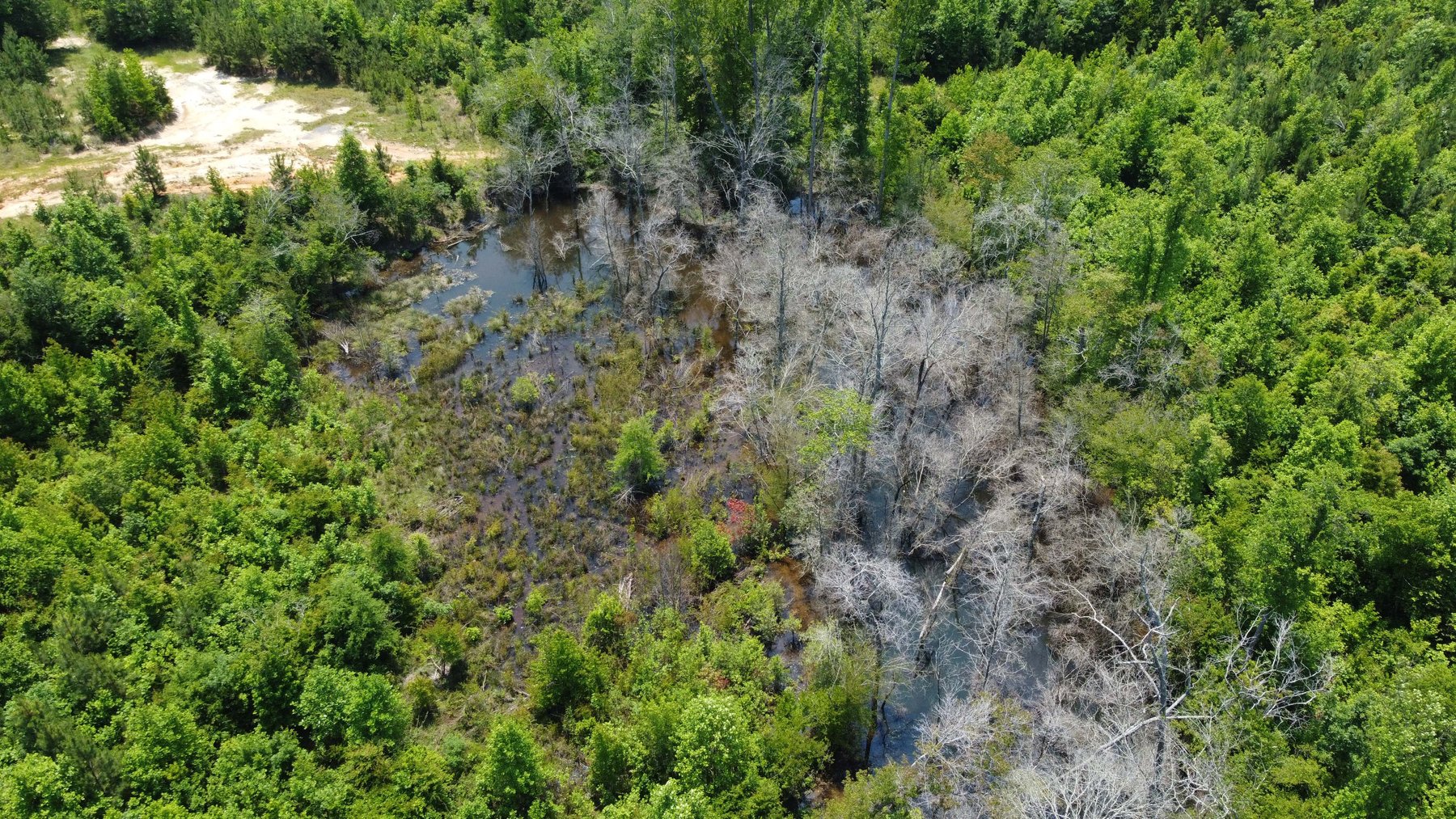 Image for 436 acres in Randolph County Divided into multiple tracts w/a portion selling absolute! This is an online / live / simulcast event!