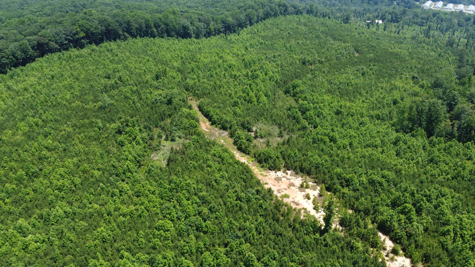 Image for 436 acres in Randolph County Divided into multiple tracts w/a portion selling absolute! This is an online / live / simulcast event!