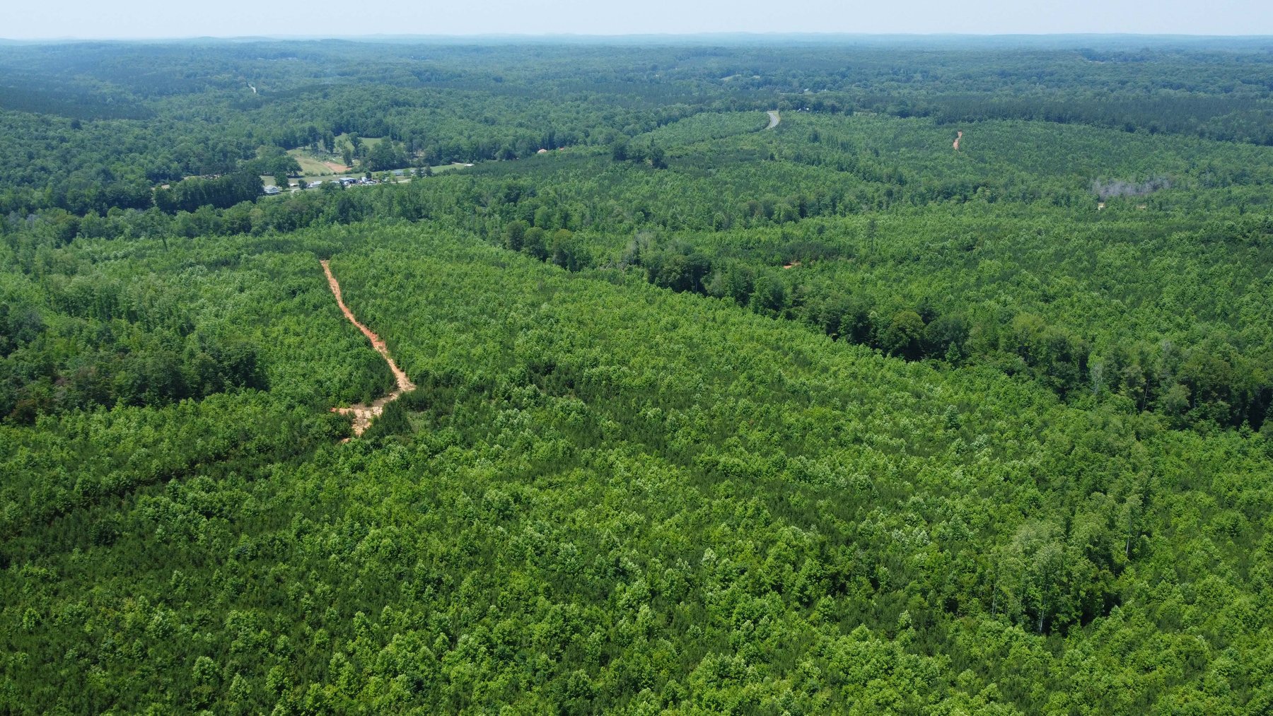 Image for 436 acres in Randolph County Divided into multiple tracts w/a portion selling absolute! This is an online / live / simulcast event!