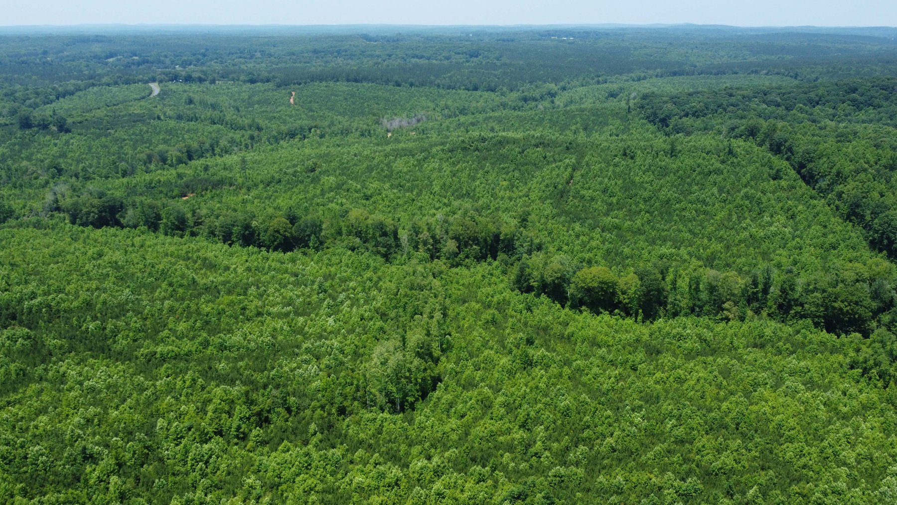 Image for 436 acres in Randolph County Divided into multiple tracts w/a portion selling absolute! This is an online / live / simulcast event!