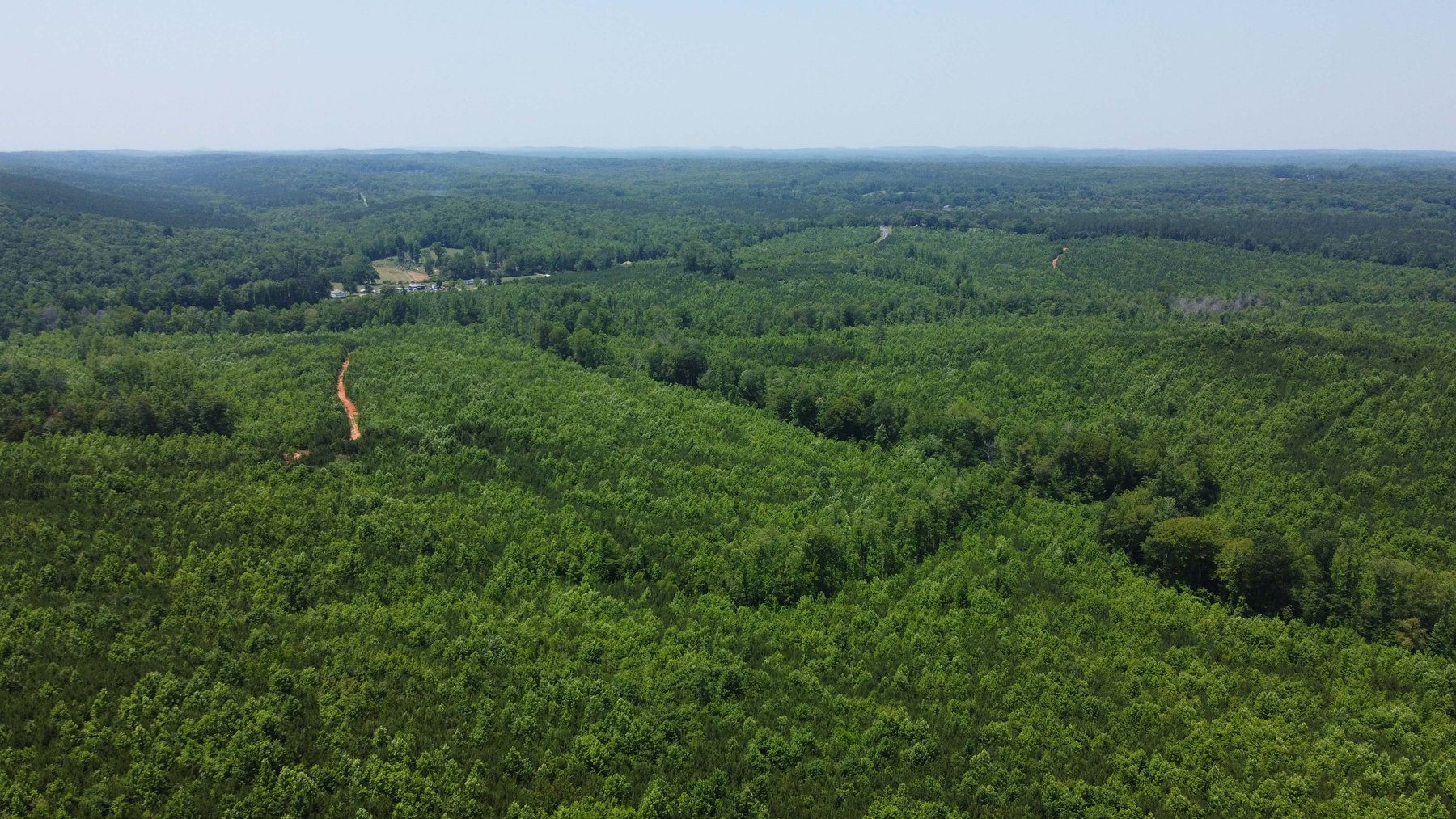 Image for 436 acres in Randolph County Divided into multiple tracts w/a portion selling absolute! This is an online / live / simulcast event!