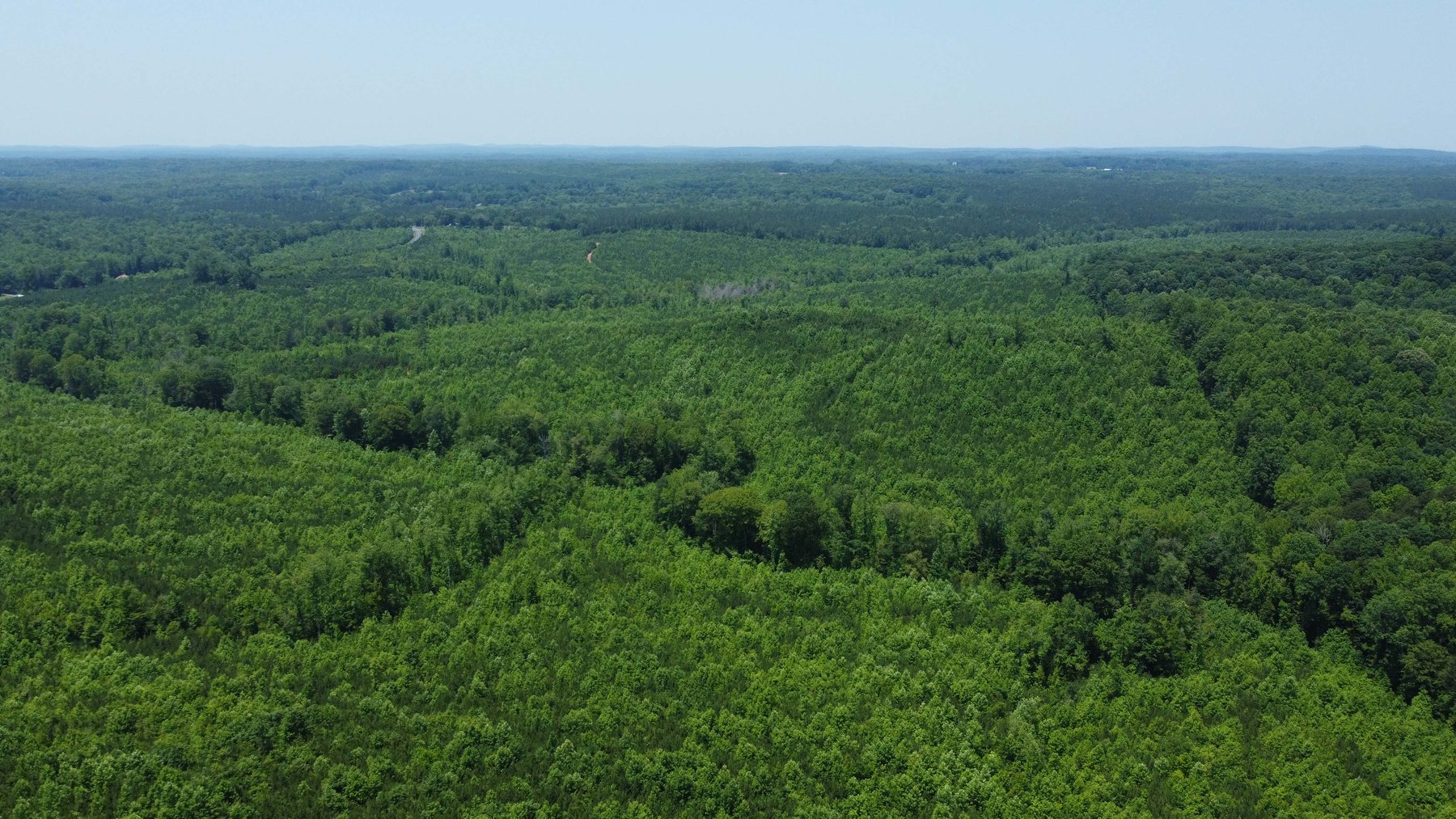 Image for 436 acres in Randolph County Divided into multiple tracts w/a portion selling absolute! This is an online / live / simulcast event!
