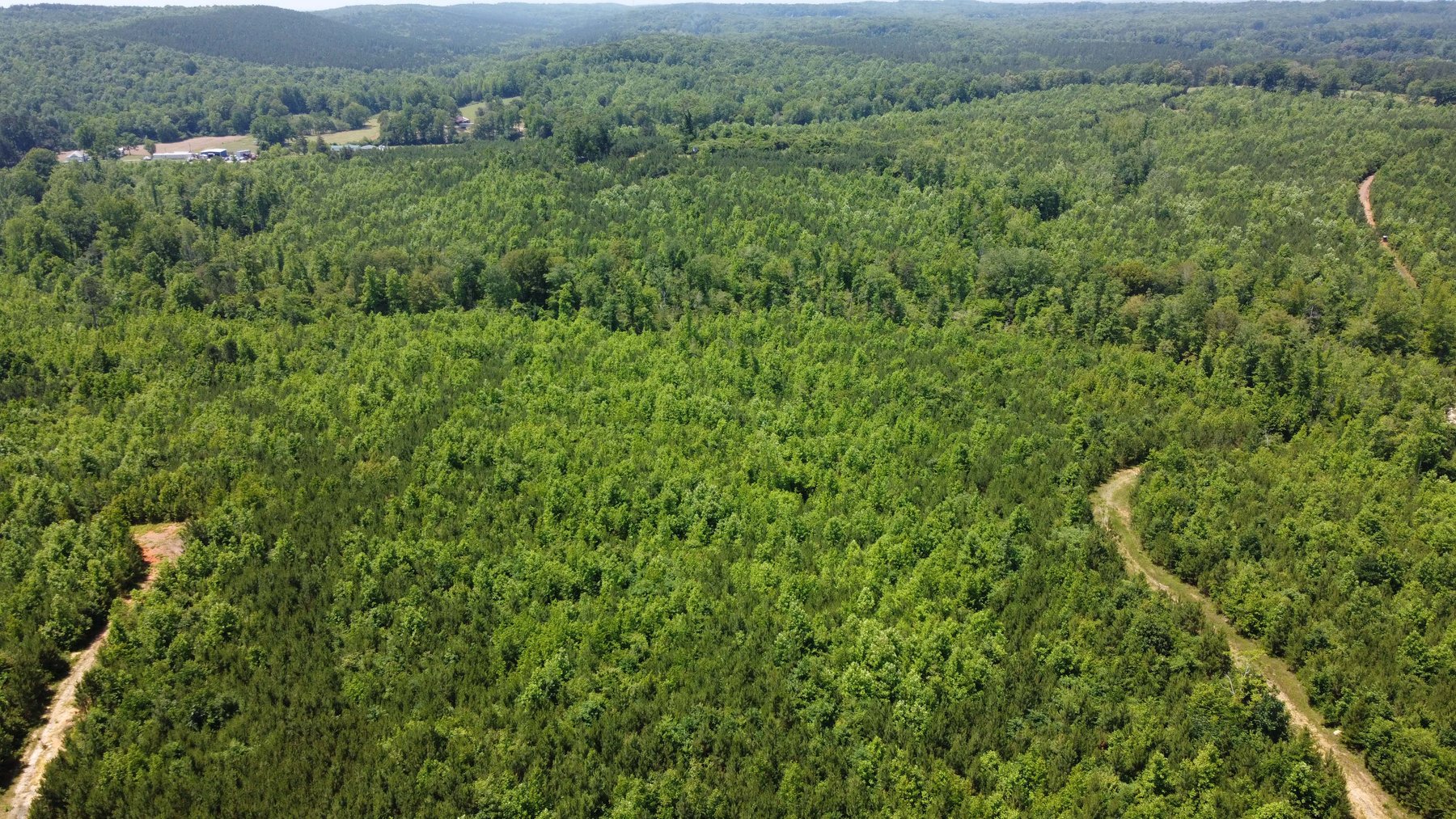 Image for 436 acres in Randolph County Divided into multiple tracts w/a portion selling absolute! This is an online / live / simulcast event!