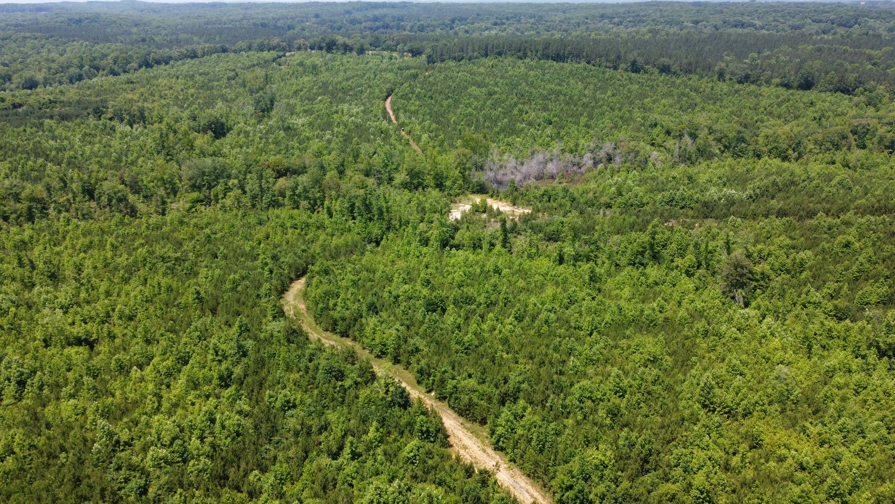 Image for 436 acres in Randolph County Divided into multiple tracts w/a portion selling absolute! This is an online / live / simulcast event!
