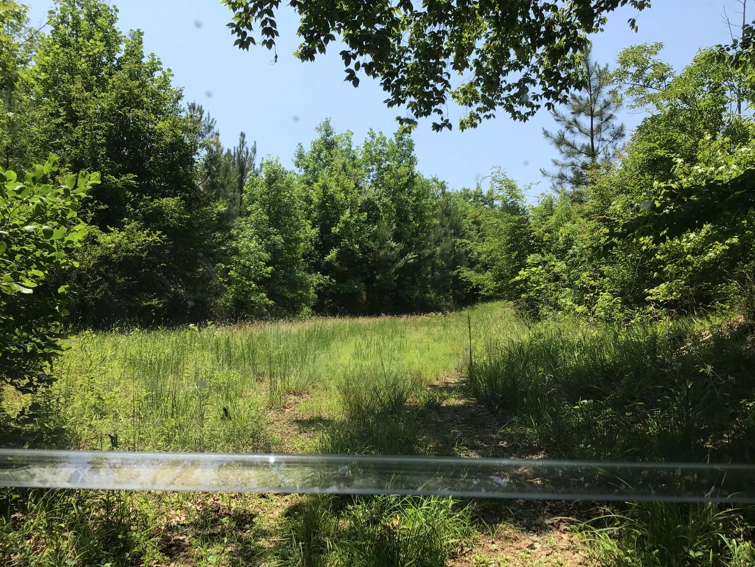 Image for 436 acres in Randolph County Divided into multiple tracts w/a portion selling absolute! This is an online / live / simulcast event!