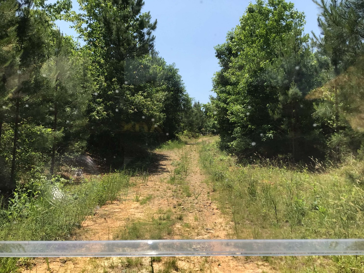 Image for 436 acres in Randolph County Divided into multiple tracts w/a portion selling absolute! This is an online / live / simulcast event!