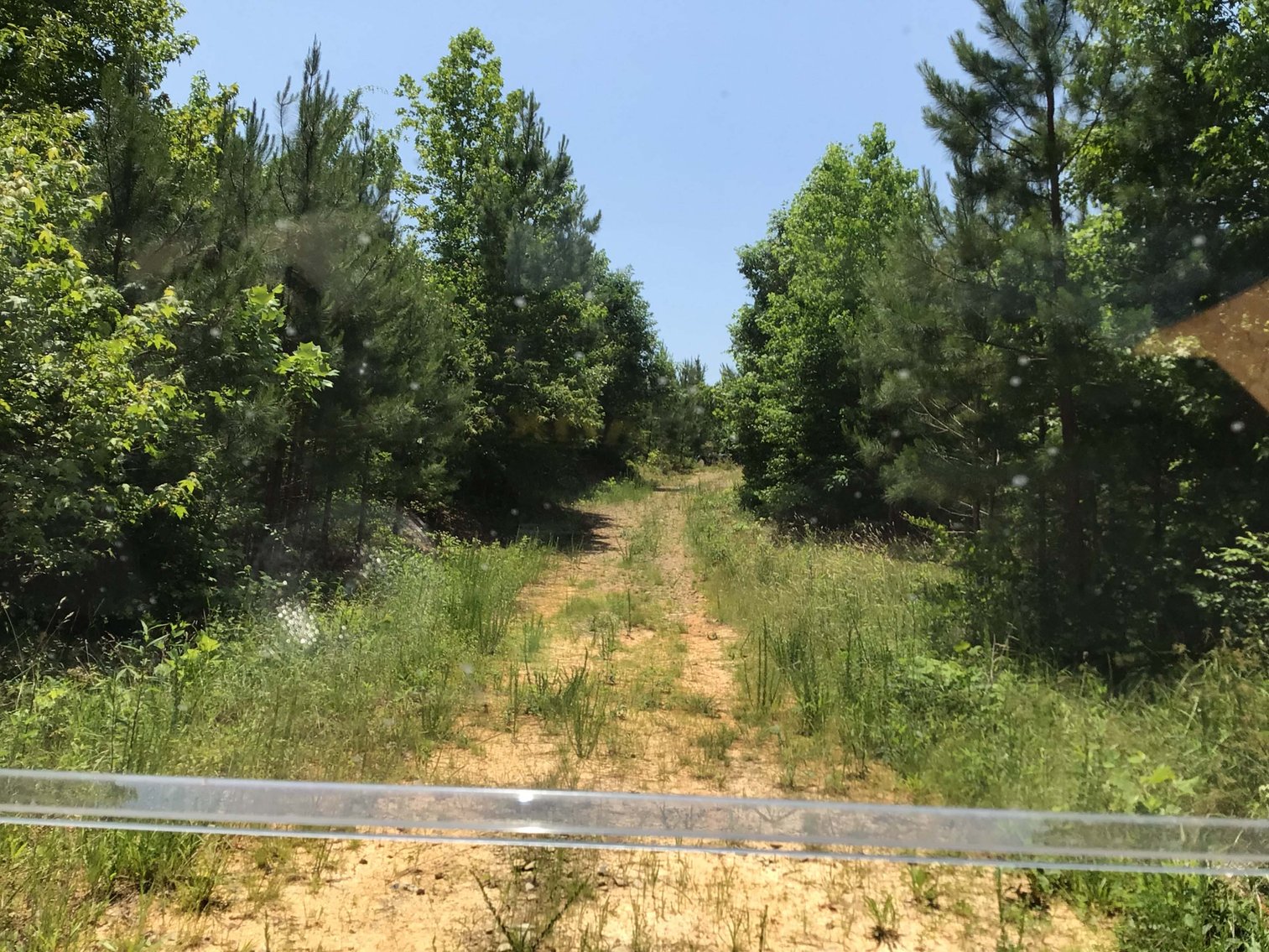 Image for 436 acres in Randolph County Divided into multiple tracts w/a portion selling absolute! This is an online / live / simulcast event!