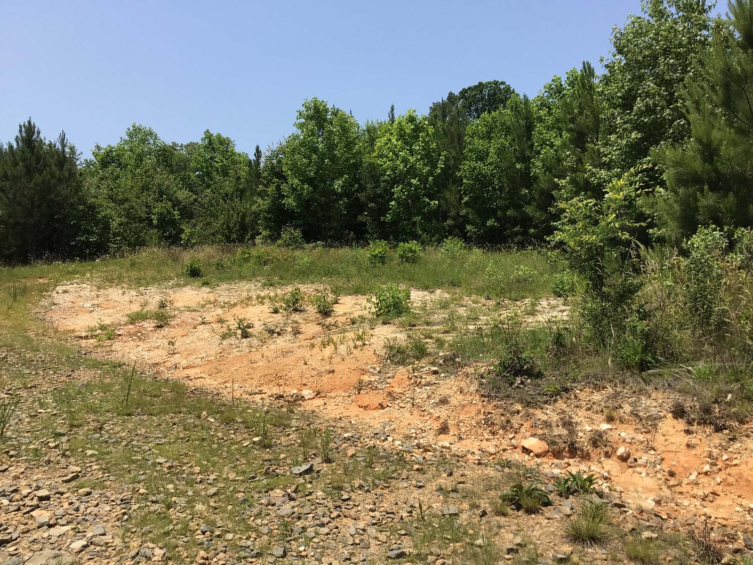 Image for 436 acres in Randolph County Divided into multiple tracts w/a portion selling absolute! This is an online / live / simulcast event!