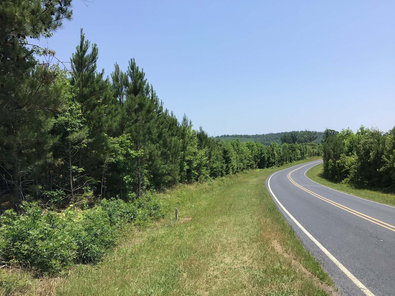 Image for 436 acres in Randolph County Divided into multiple tracts w/a portion selling absolute! This is an online / live / simulcast event!
