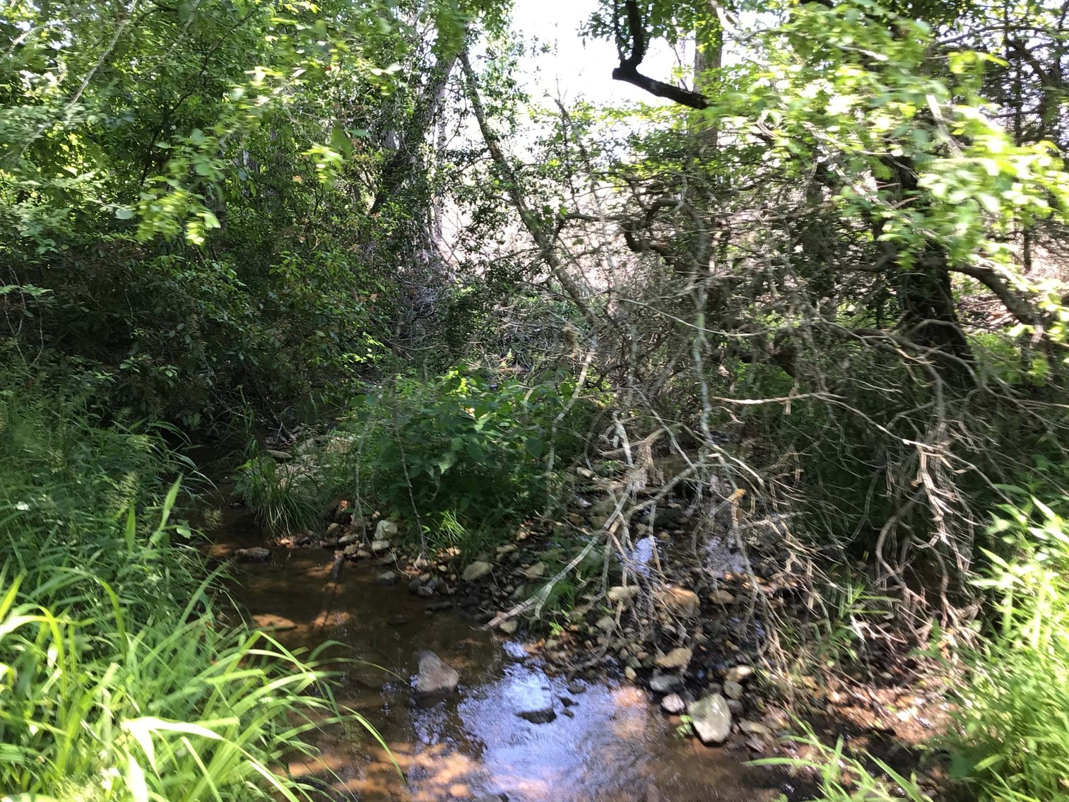 Image for 436 acres in Randolph County Divided into multiple tracts w/a portion selling absolute! This is an online / live / simulcast event!