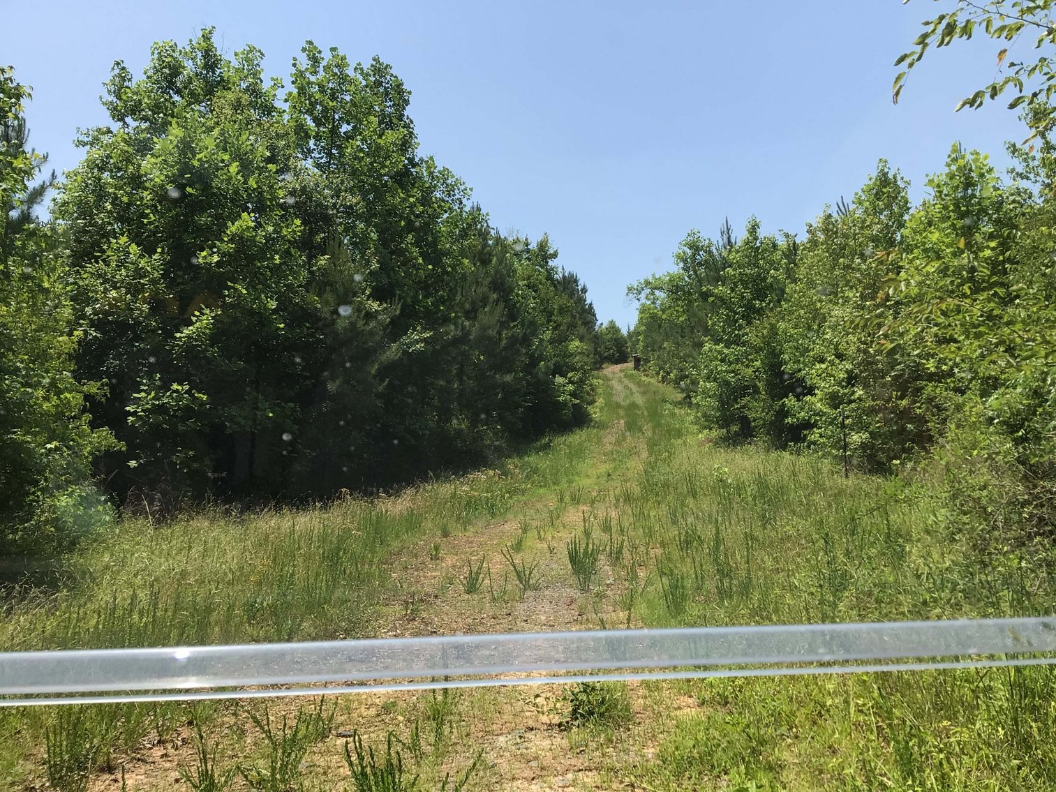 Image for 436 acres in Randolph County Divided into multiple tracts w/a portion selling absolute! This is an online / live / simulcast event!