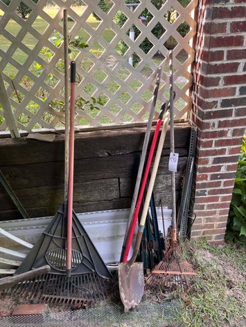 Image for The Estate of Thomas Davis (deceased)