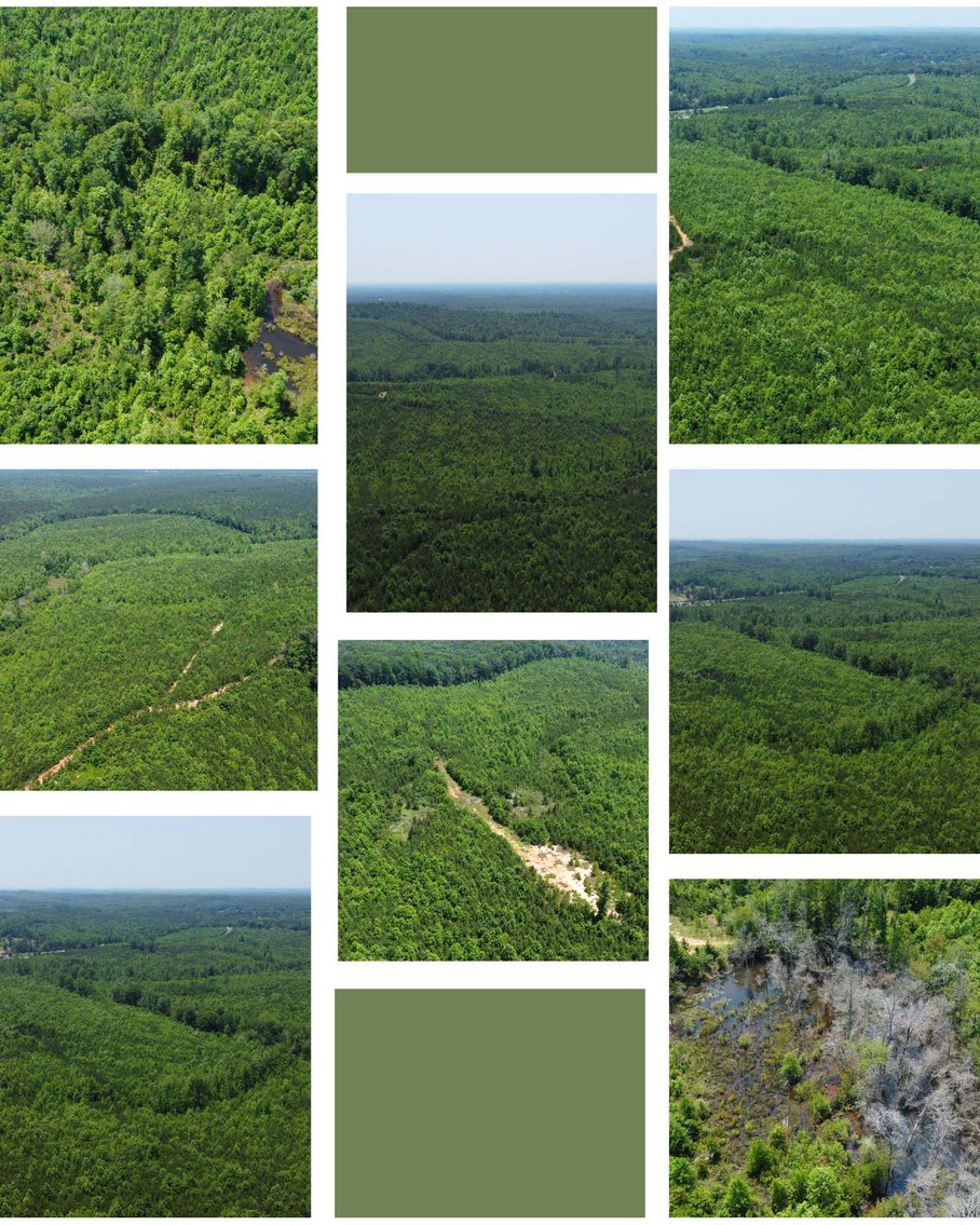 Image for 436 acres in Randolph County Divided into multiple tracts w/a portion selling absolute! This is an online / live / simulcast event!