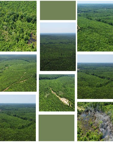 Image for 436 acres in Randolph County Divided into multiple tracts w/a portion selling absolute! This is an online / live / simulcast event!