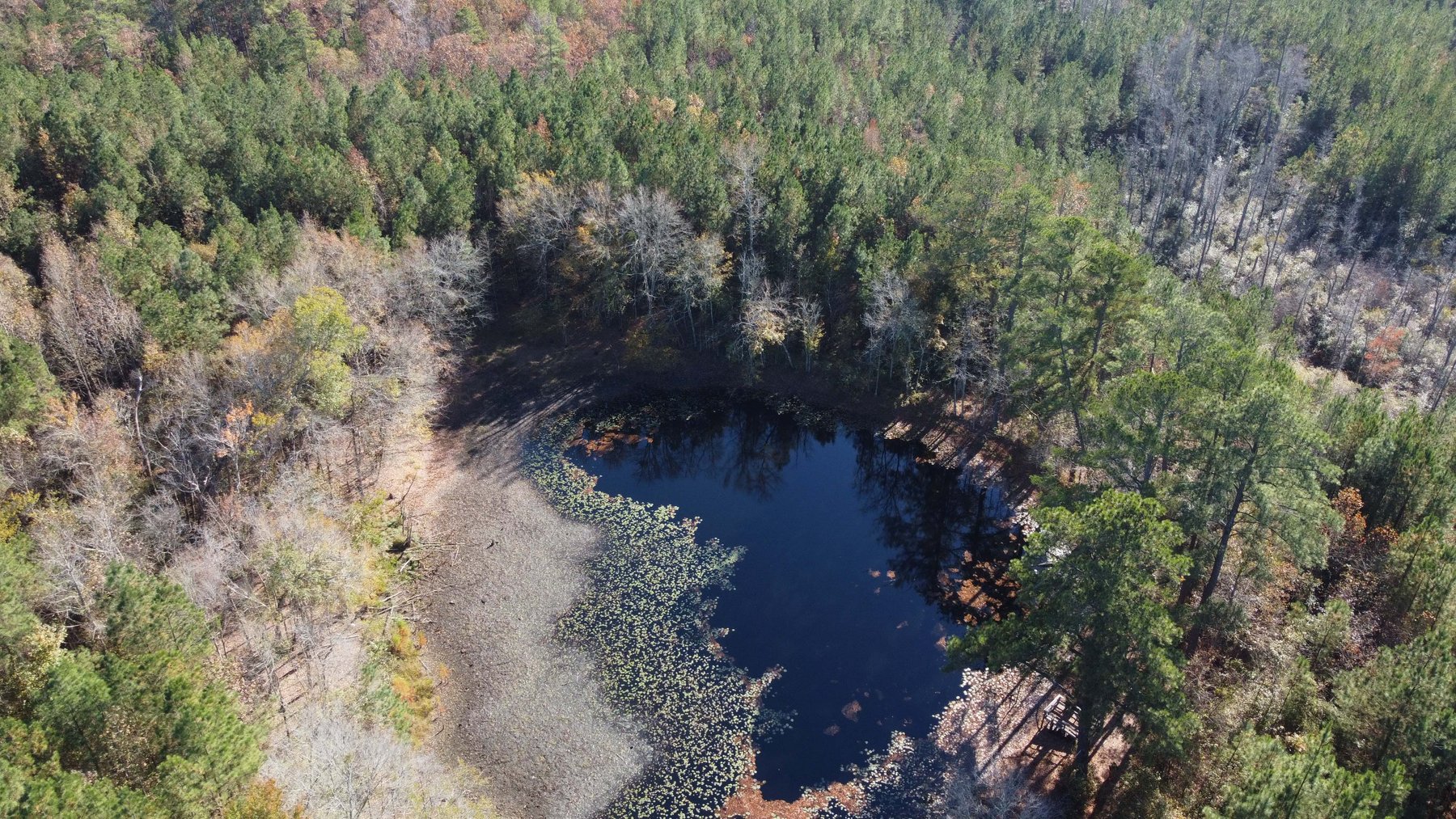 Image for 43 acres in Harnett County with a brick home in an onsite live /online / simulcast auction event!