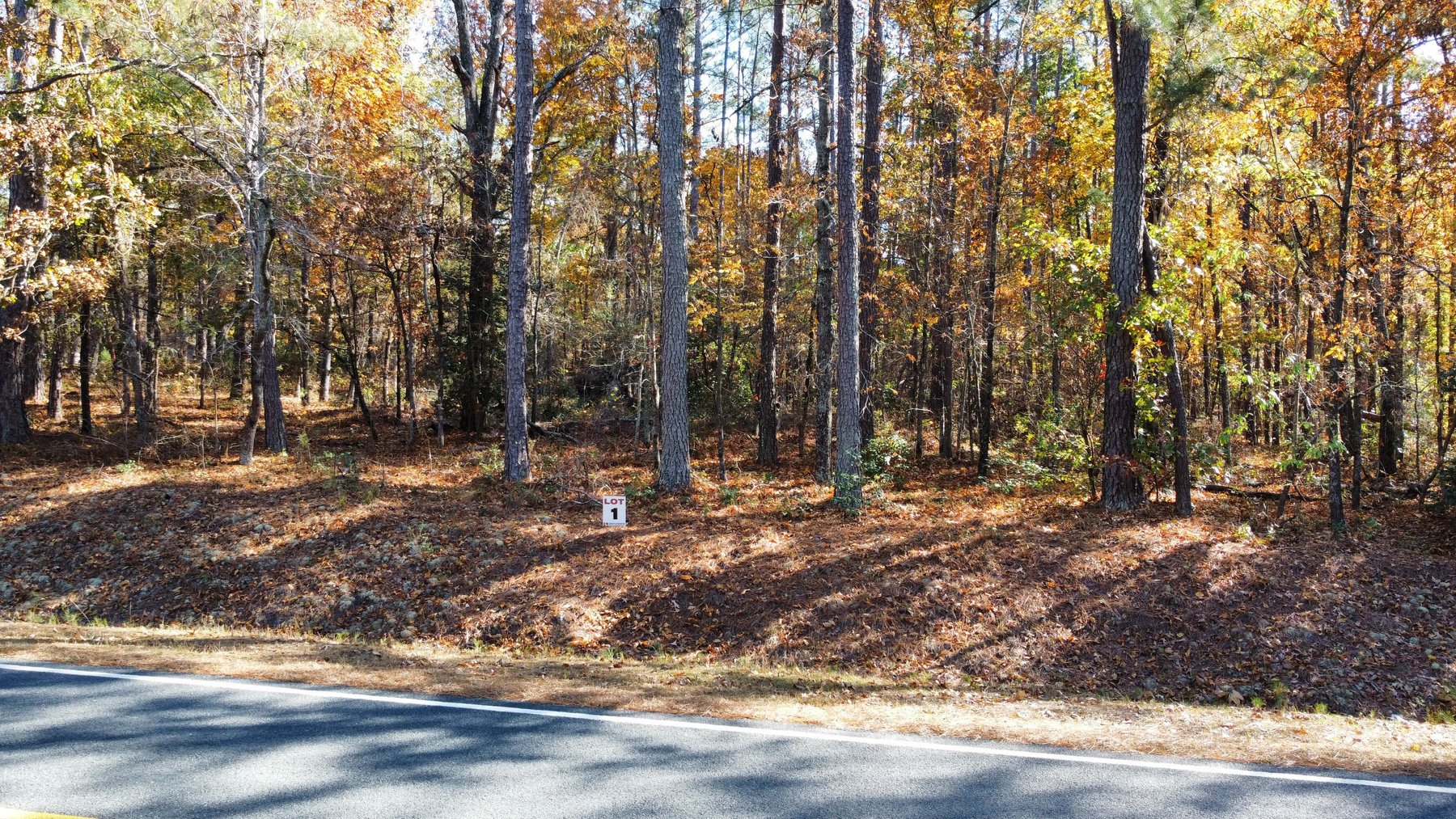 Image for 43 acres in Harnett County with a brick home in an onsite live /online / simulcast auction event!