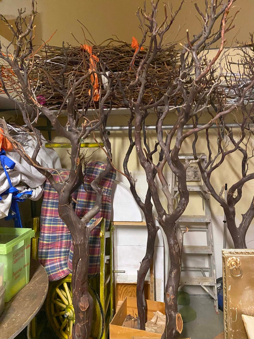 Image for Wedding Venue Provider and Decorator Auction Event!