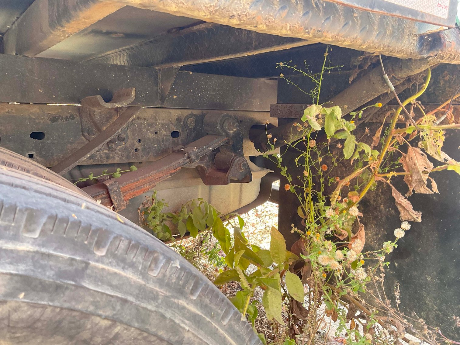 Image for Grading Company Auction Online / Live / Simulcast Event!