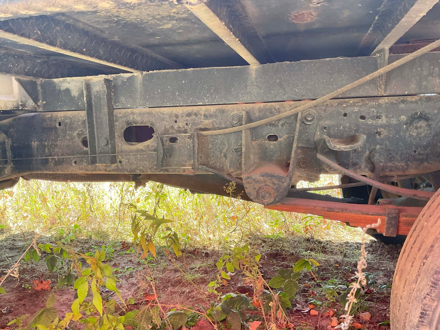 Image for Grading Company Auction Online / Live / Simulcast Event!