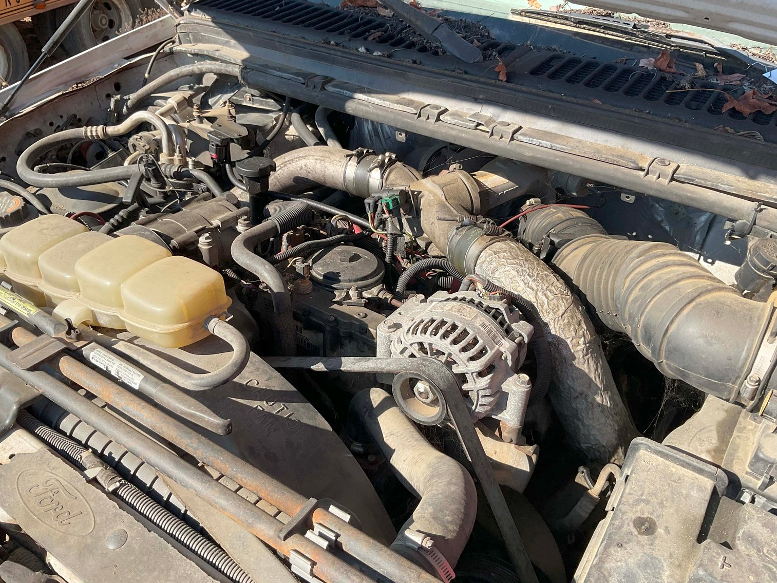 Image for Grading Company Auction Online / Live / Simulcast Event!