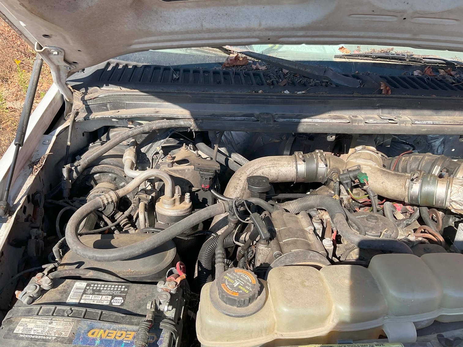 Image for Grading Company Auction Online / Live / Simulcast Event!