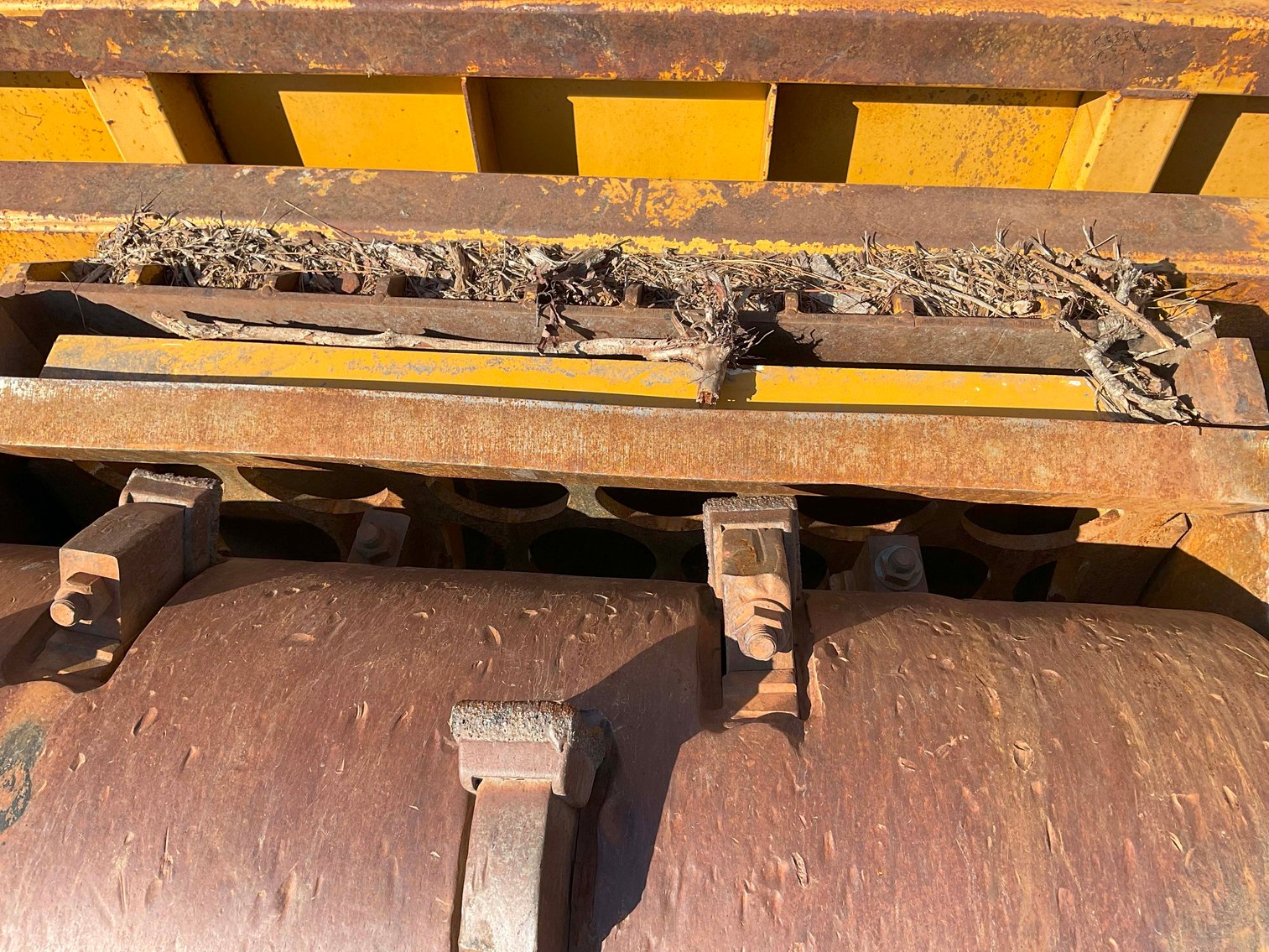 Image for Grading Company Auction Online / Live / Simulcast Event!