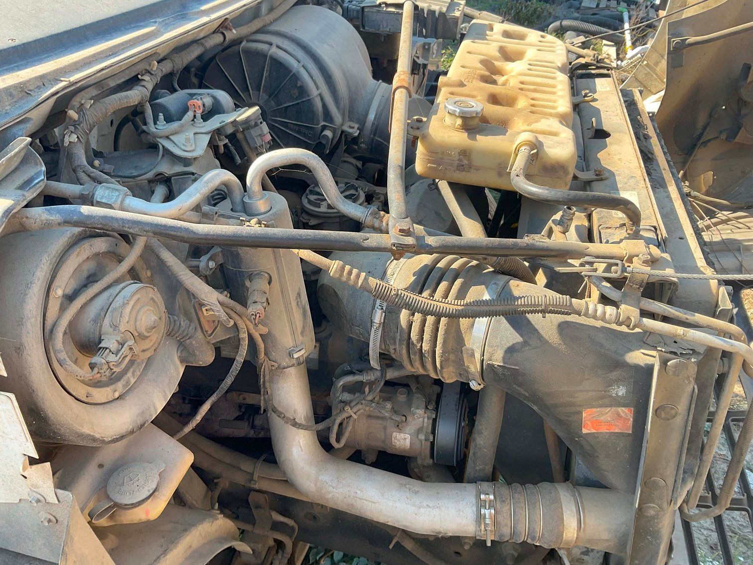 Image for Grading Company Auction Online / Live / Simulcast Event!