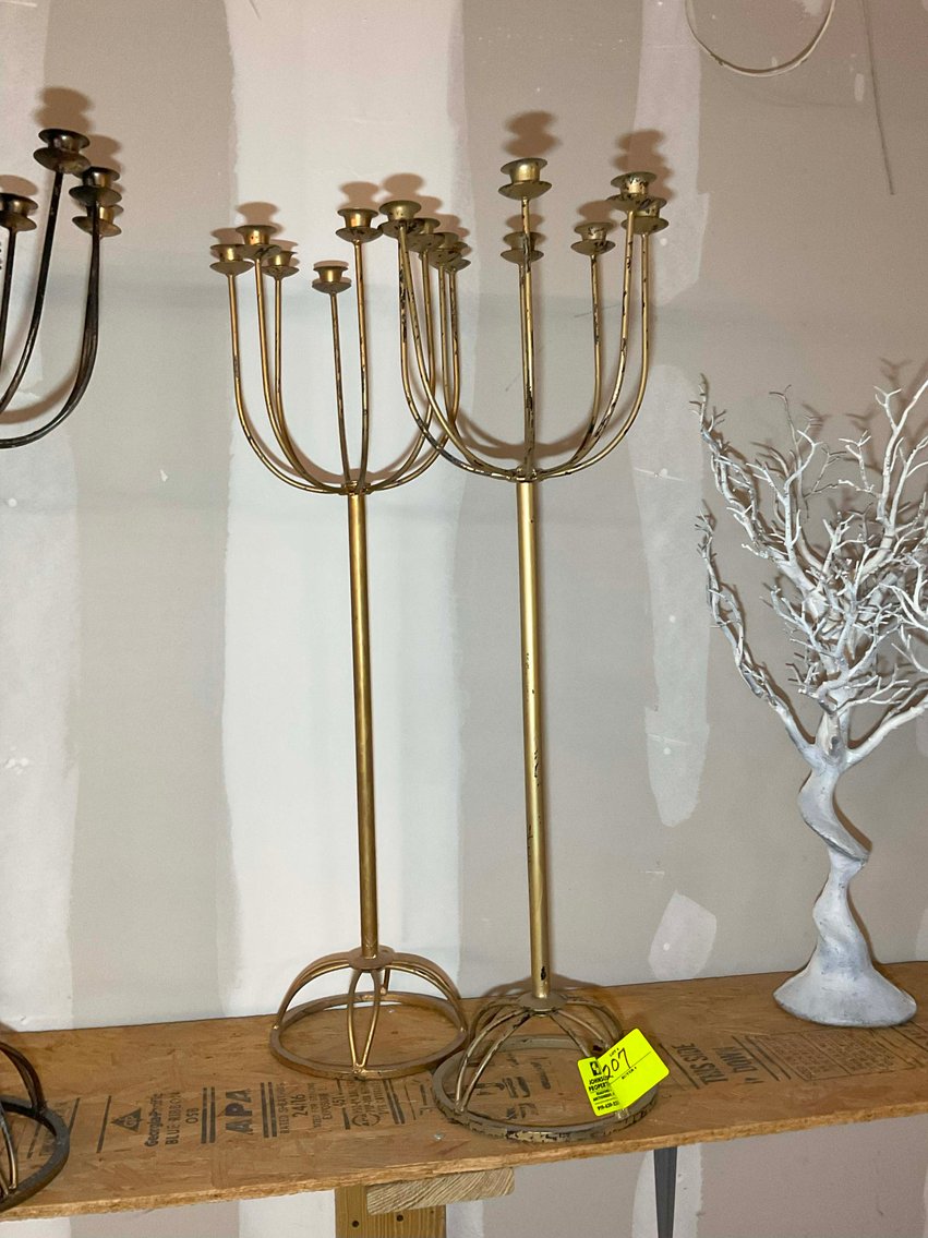 Image for Wedding Venue Provider and Decorator Auction Event!