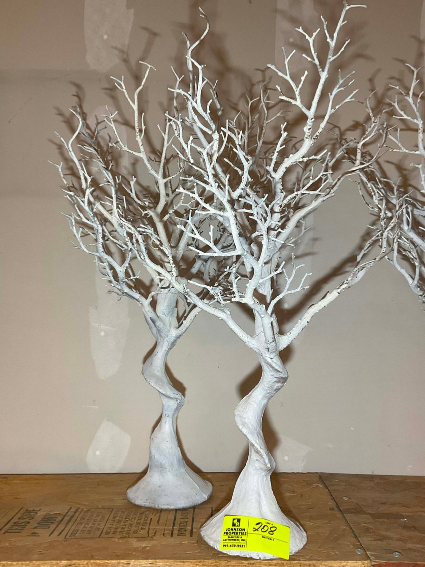 Image for Wedding Venue Provider and Decorator Auction Event!