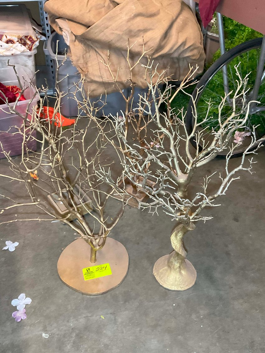 Image for Wedding Venue Provider and Decorator Auction Event!