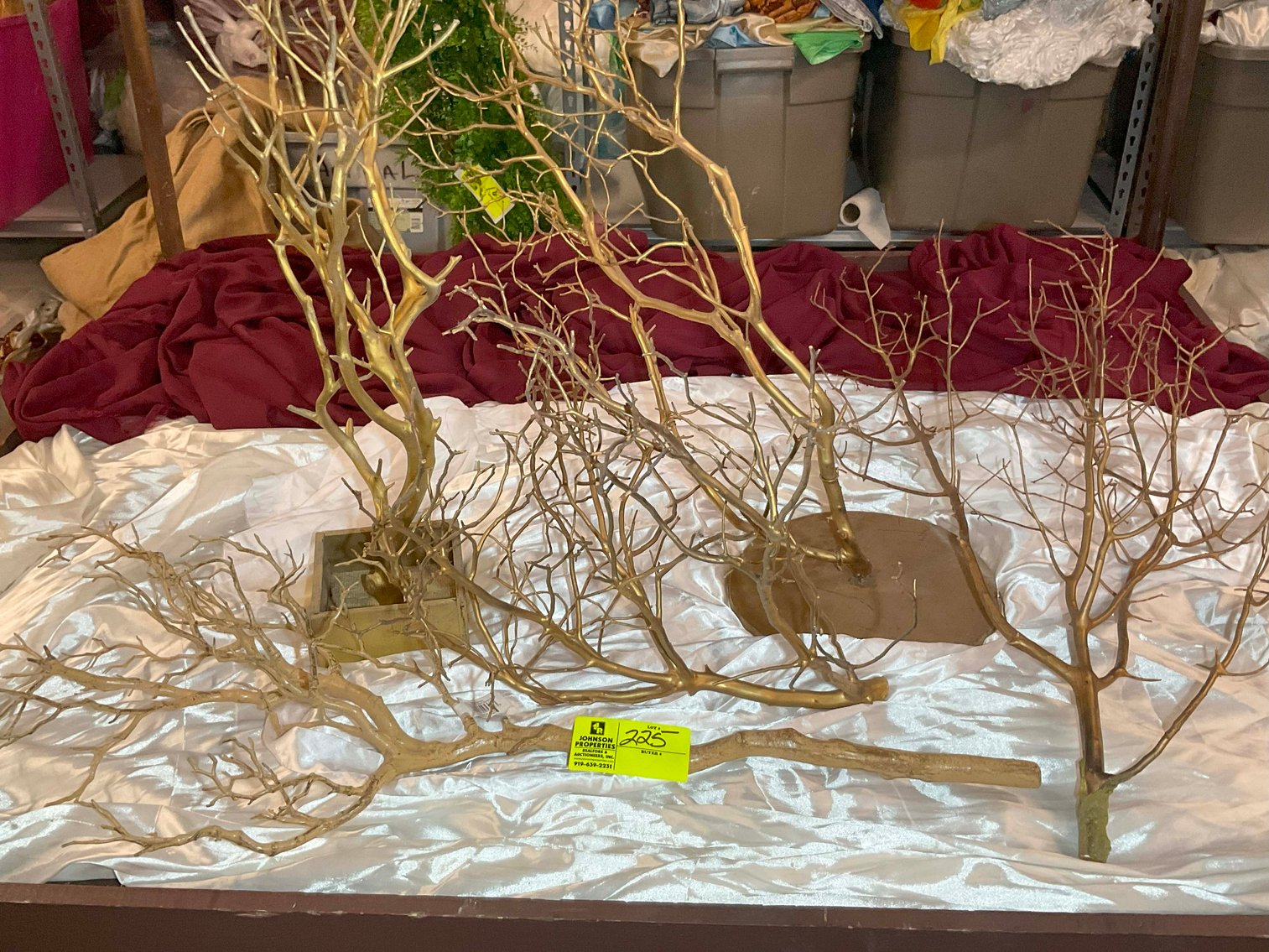 Image for Wedding Venue Provider and Decorator Auction Event!