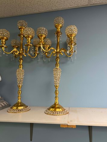 Image for Wedding Venue Provider and Decorator LIVE Auction Event