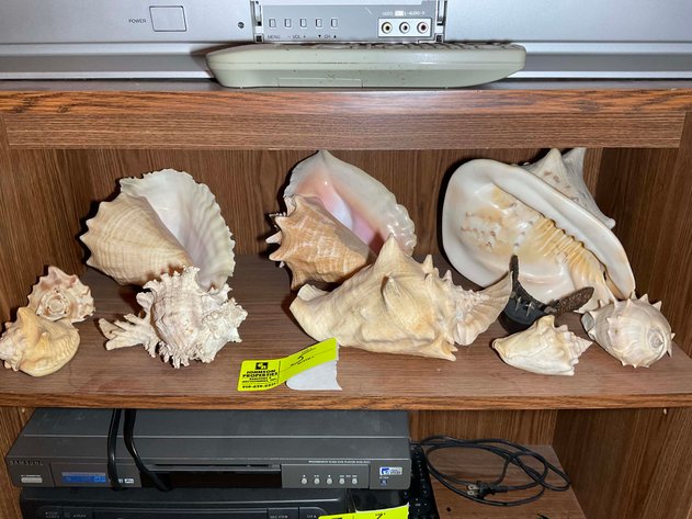 Image for Estate (deceased name withheld at family's request)  Online Only Auction in Eastover, NC