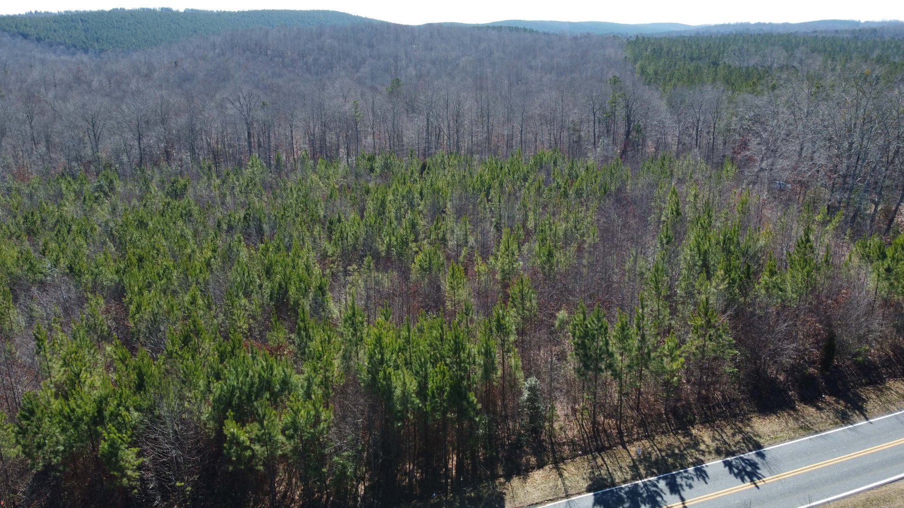 Image for 436 acres in Randolph County Divided into multiple tracts w/a portion selling absolute! This is an online / live / simulcast event!