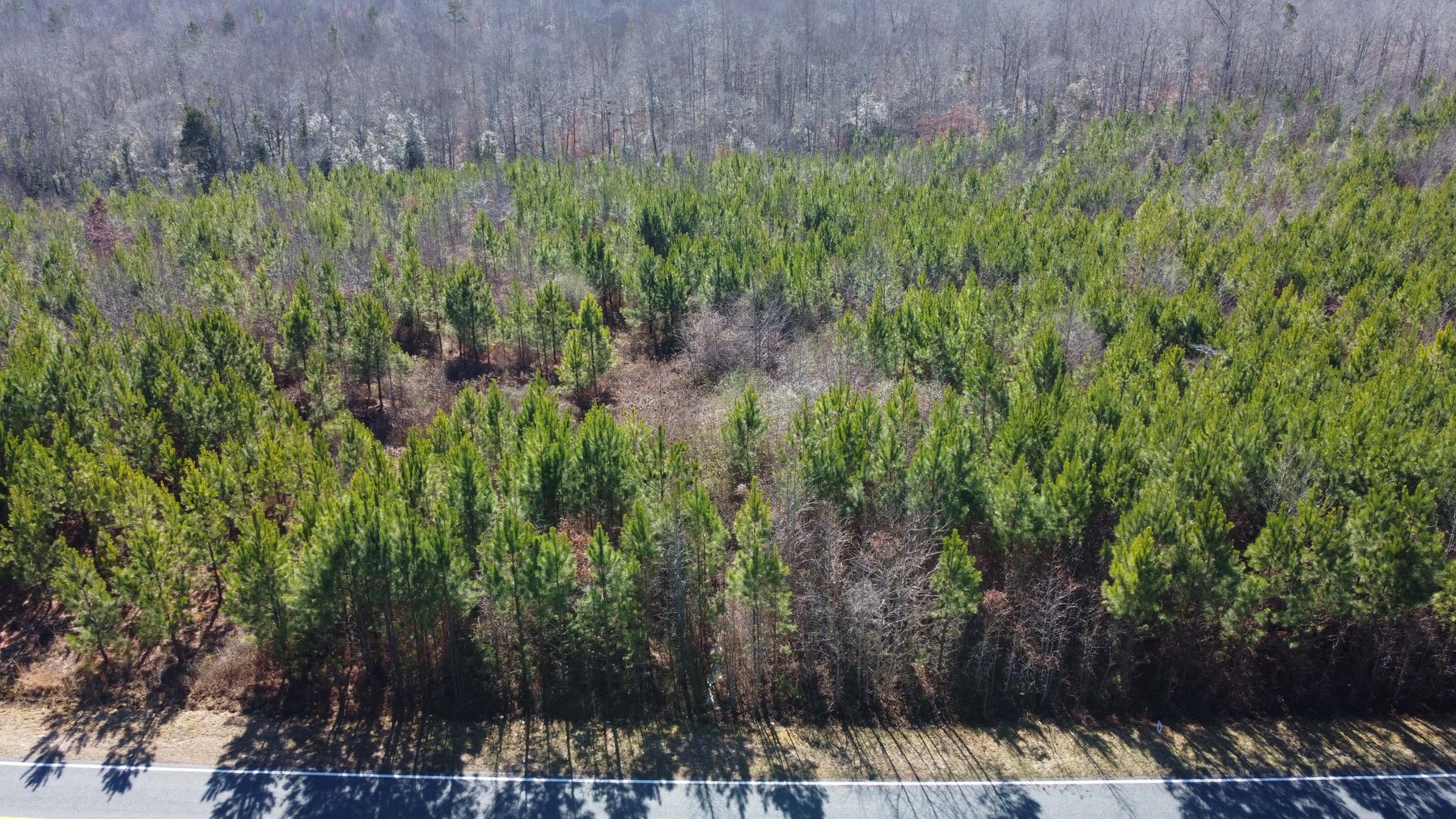 Image for 436 acres in Randolph County Divided into multiple tracts w/a portion selling absolute! This is an online / live / simulcast event!