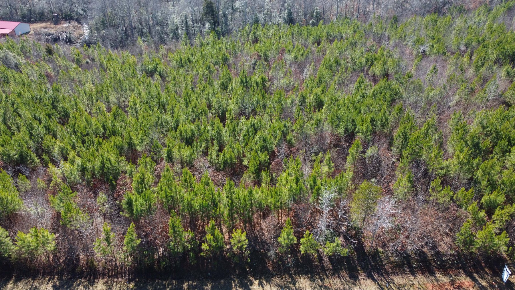 Image for 436 acres in Randolph County Divided into multiple tracts w/a portion selling absolute! This is an online / live / simulcast event!
