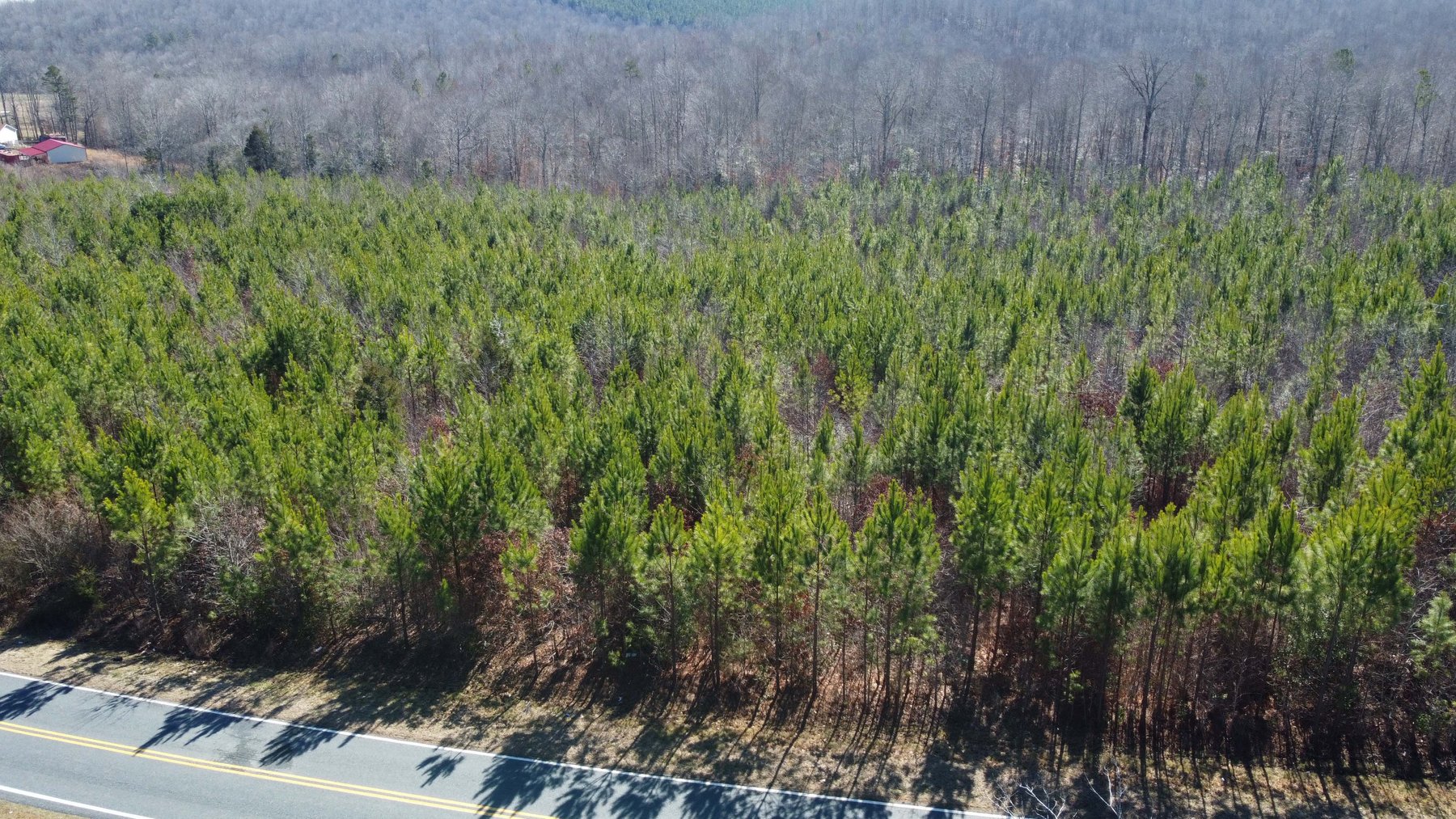Image for 436 acres in Randolph County Divided into multiple tracts w/a portion selling absolute! This is an online / live / simulcast event!
