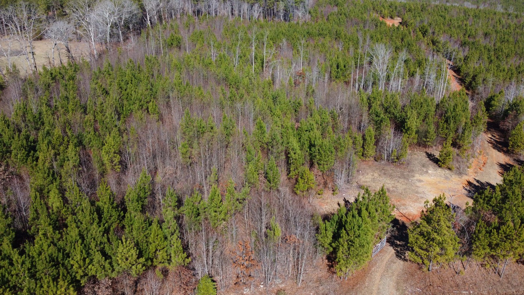 Image for 436 acres in Randolph County Divided into multiple tracts w/a portion selling absolute! This is an online / live / simulcast event!