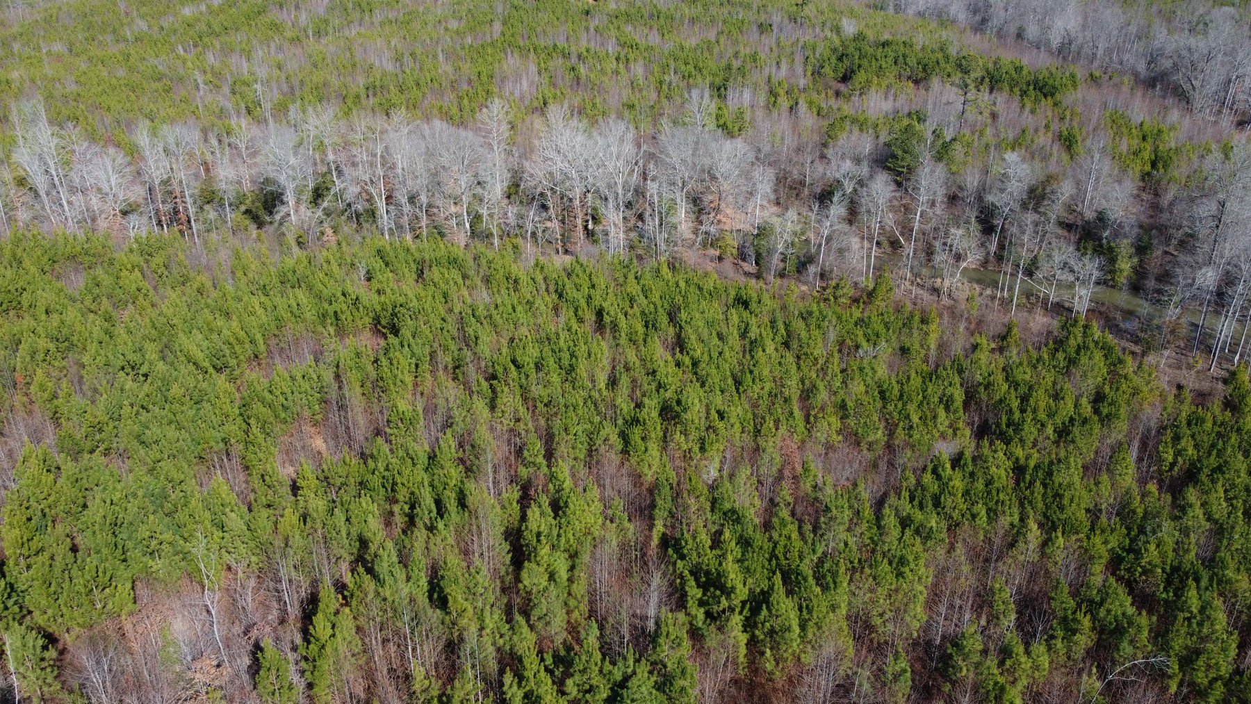 Image for 436 acres in Randolph County Divided into multiple tracts w/a portion selling absolute! This is an online / live / simulcast event!