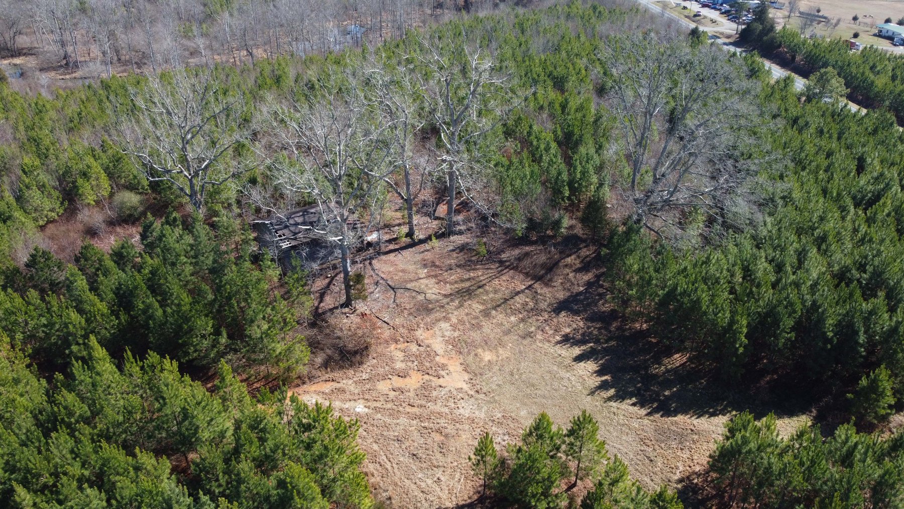 Image for 436 acres in Randolph County Divided into multiple tracts w/a portion selling absolute! This is an online / live / simulcast event!
