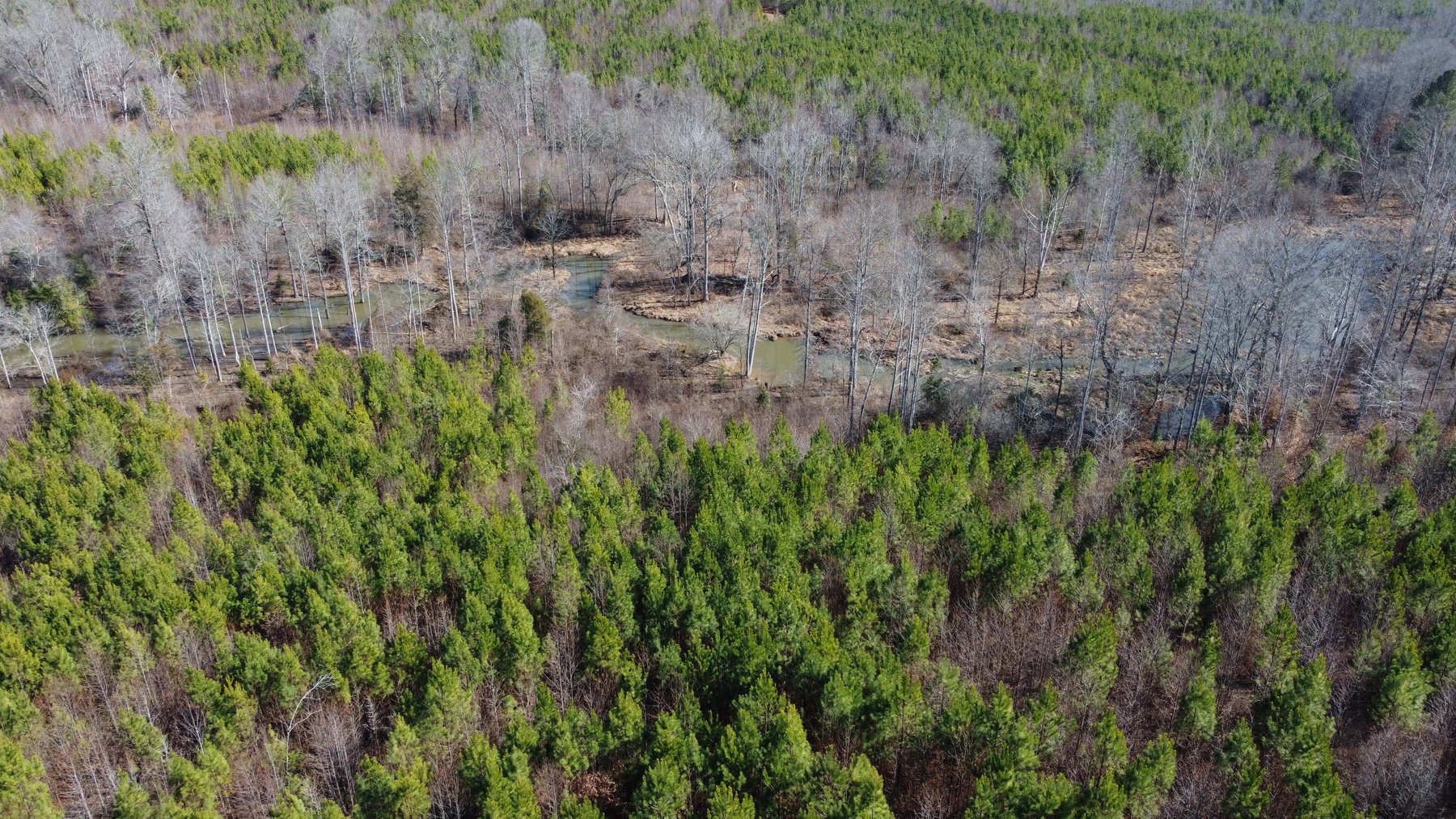 Image for 436 acres in Randolph County Divided into multiple tracts w/a portion selling absolute! This is an online / live / simulcast event!