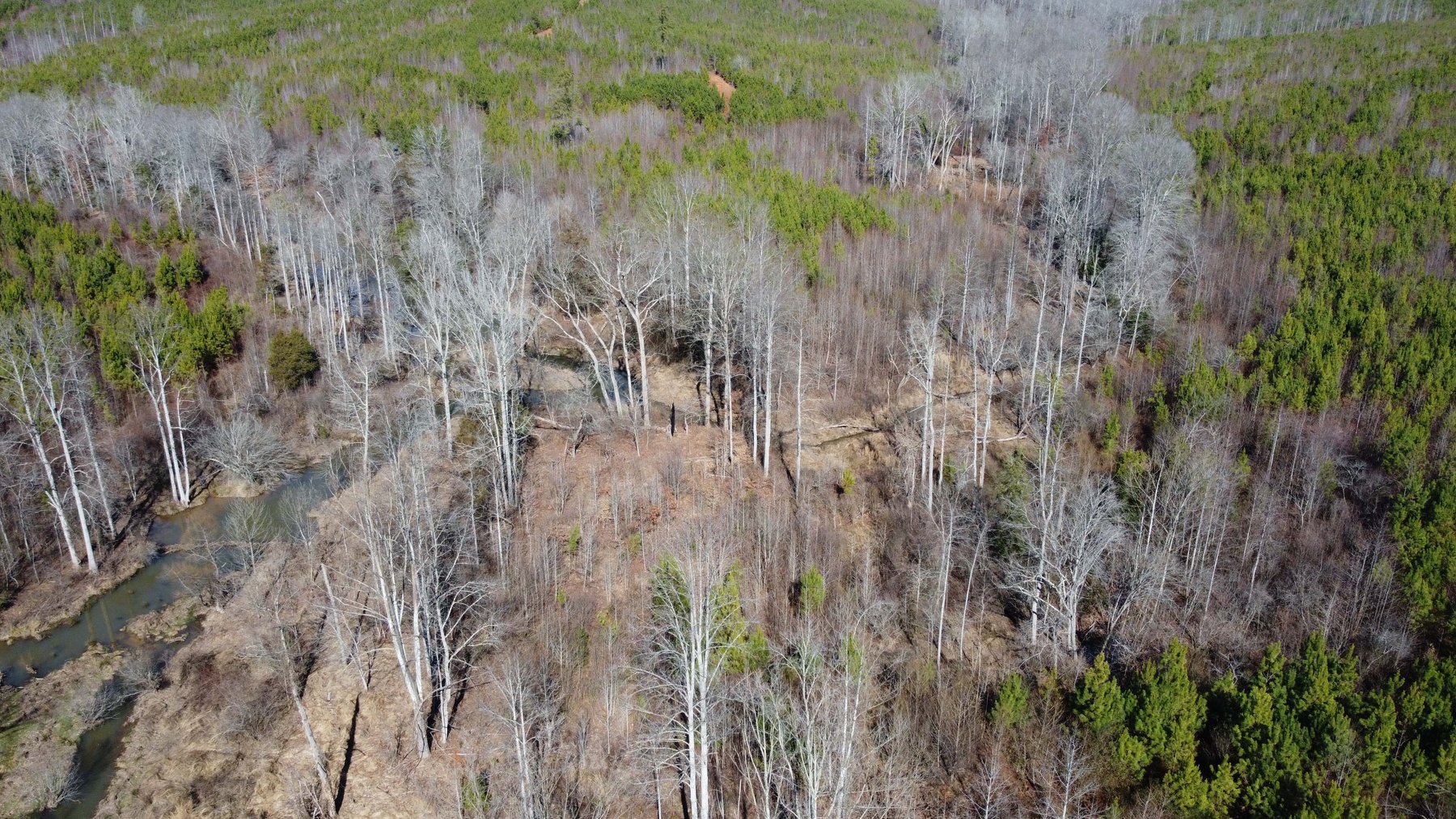 Image for 436 acres in Randolph County Divided into multiple tracts w/a portion selling absolute! This is an online / live / simulcast event!