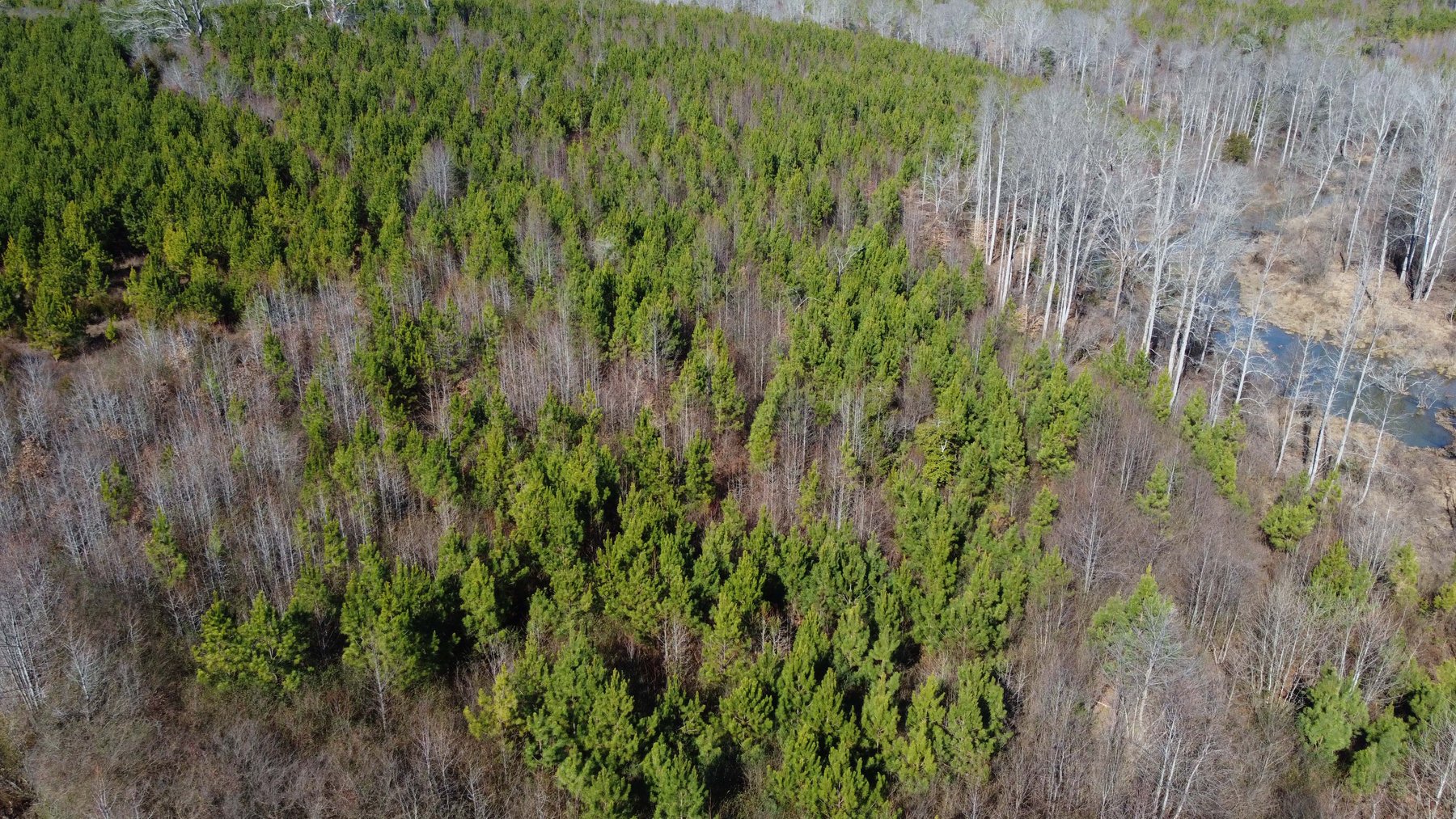 Image for 436 acres in Randolph County Divided into multiple tracts w/a portion selling absolute! This is an online / live / simulcast event!