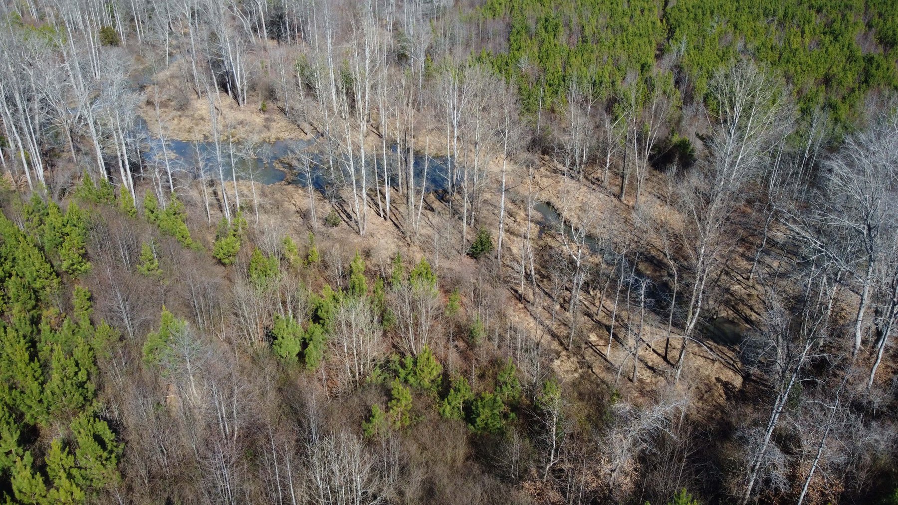 Image for 436 acres in Randolph County Divided into multiple tracts w/a portion selling absolute! This is an online / live / simulcast event!
